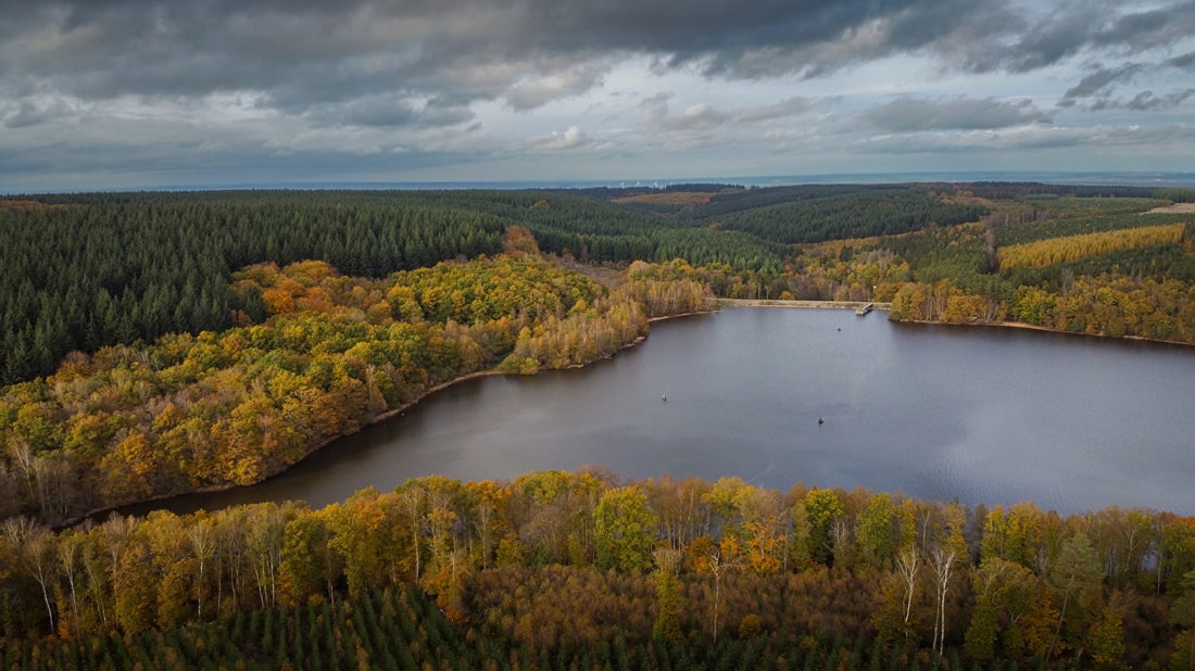 14 habitants par km² : c'est l'un des villages les moins peuplés de l'Orne (et le + beau)