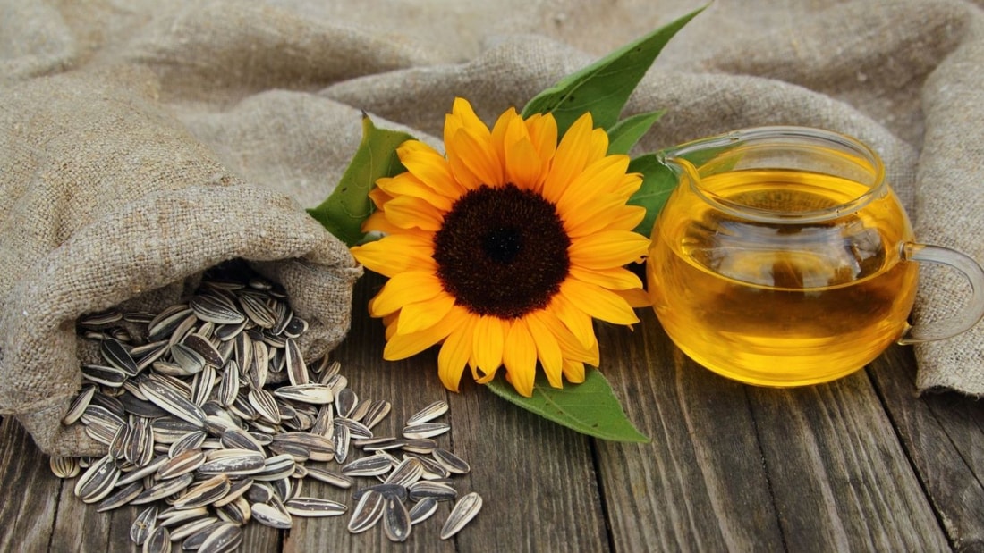 Voici ce qui arrive à votre corps quand vous mangez une tasse de graines de tournesol tous les jours