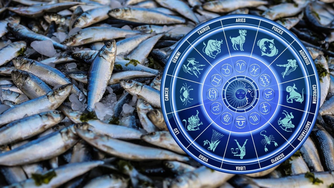 Horoscope du Jour pour les Poissons - 21 Mars 2024