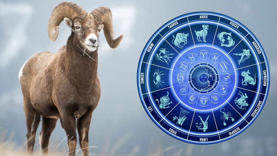 Horoscope du Jour - Bélier - 21 Mars 2024