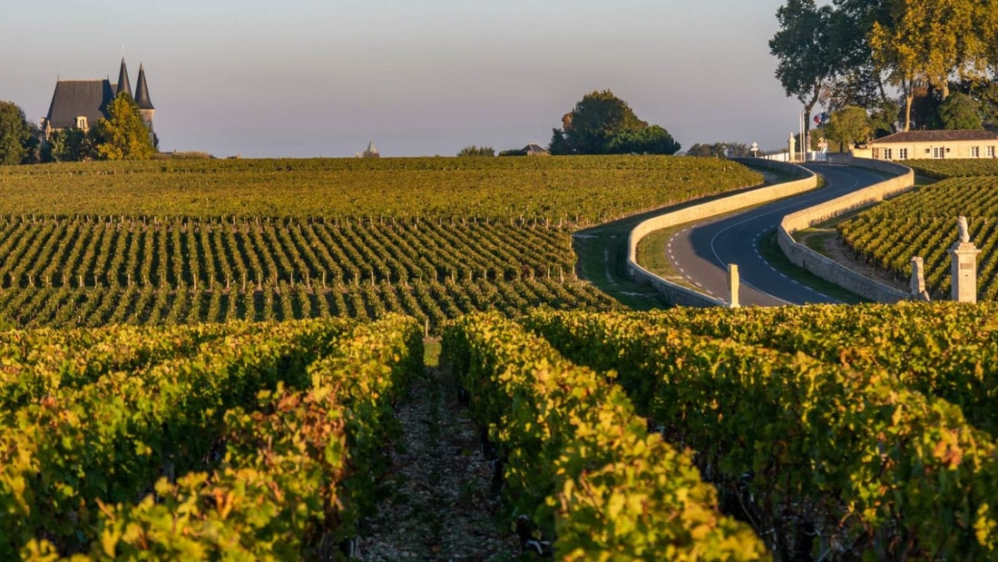 La Route des Vins d'Alsace en hiver : 180 km de magie à travers 70 villages endormis