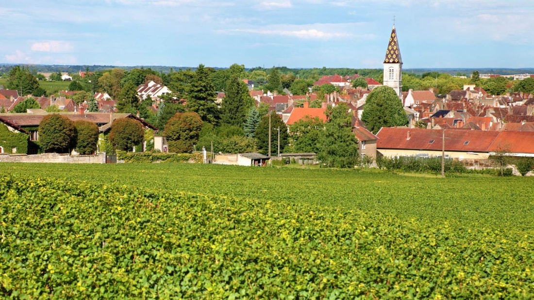 Ce village de 5600 habitants a un hôpital du XVIIe siècle avec son propre domaine viticole