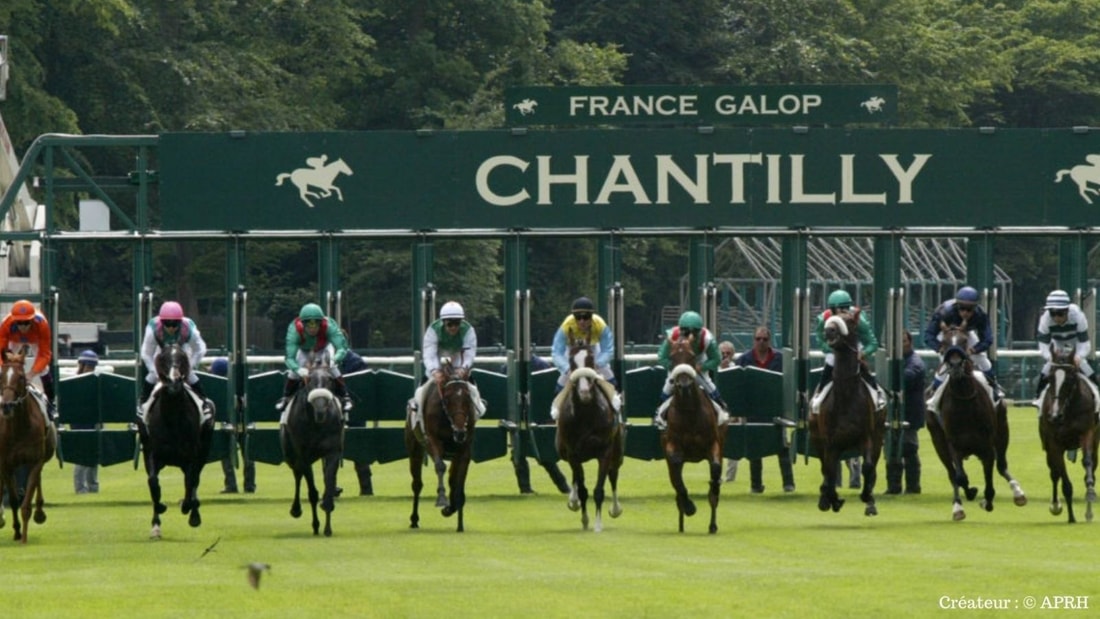 Quinté+ du 28/03 à Chantilly : Pronostics en direct de l'hippodrome, bases solides aujourd'hui