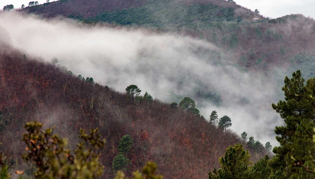 Les Cévennes : 5 villages millénaires à 1000m d'altitude qui attirent 500 000 visiteurs par an