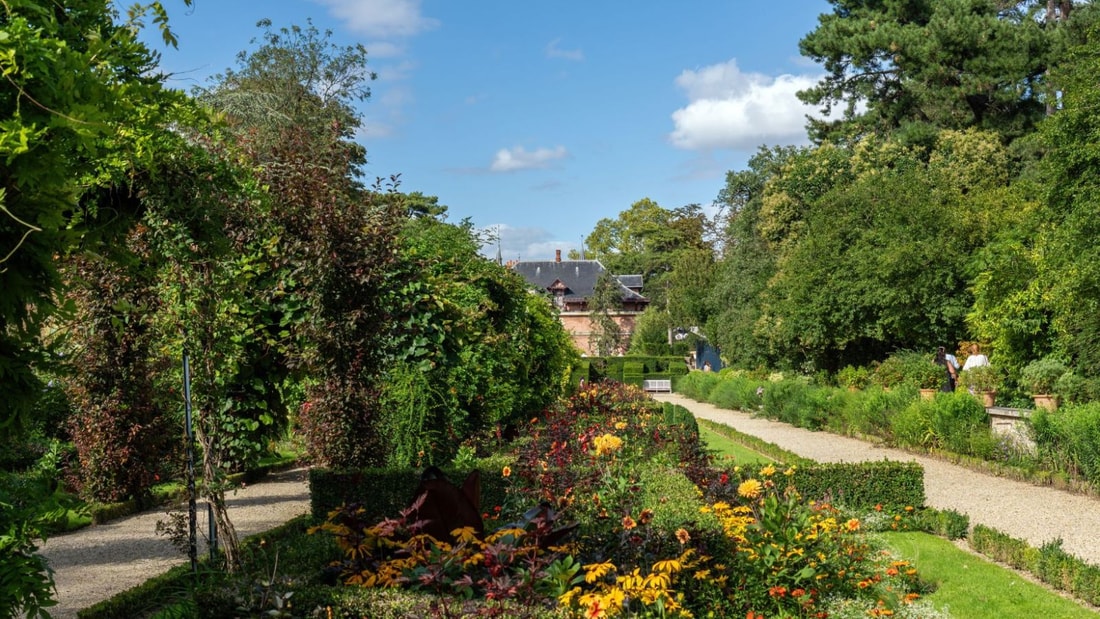 Louis XIV en raffolait : Le légume royal qui pousse encore dans l'Aisne !