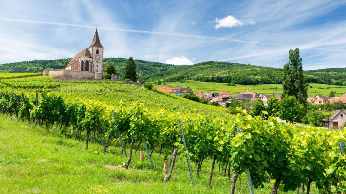 600km de pistes cyclables entre vignobles et plus beaux villages de France, cette région vaut le détour