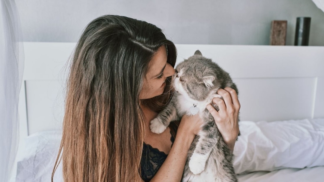 Les chats, ces psys à quatre pattes qui vous veulent du bien