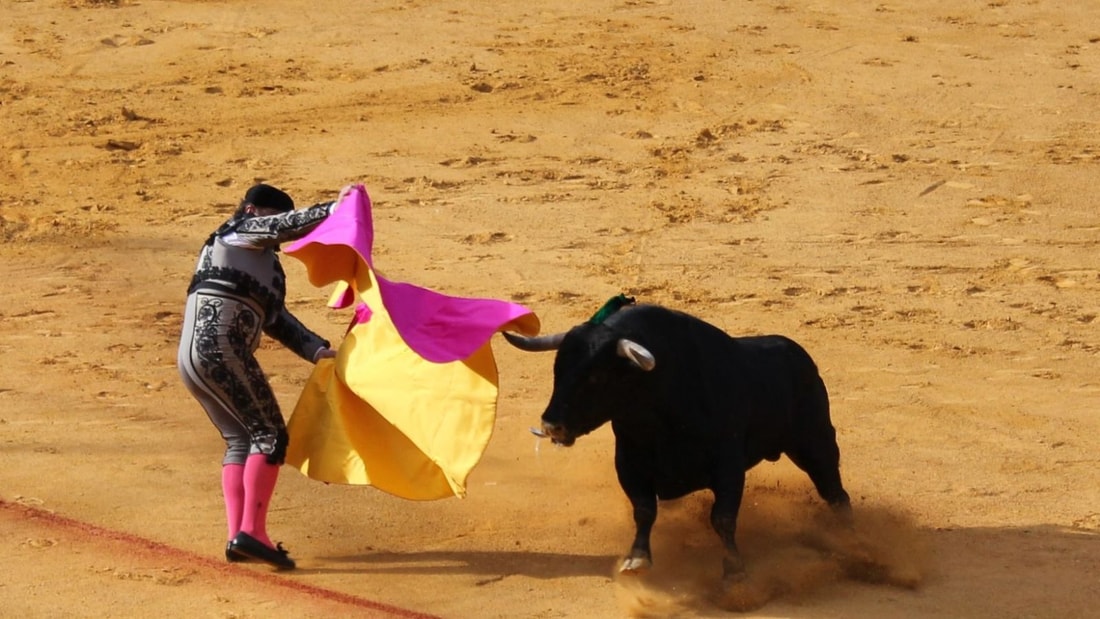 Ferias de Nîmes 2024 : Dates, programme et infos pratiques pour ne rien manquer