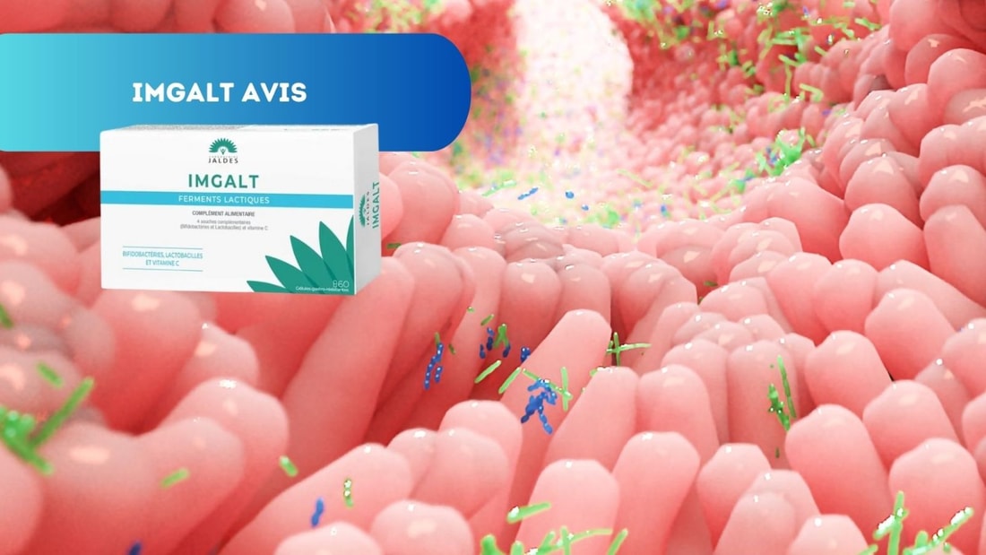 Avis sur Imgalt : Votre partenaire pour une flore intestinale harmonieuse