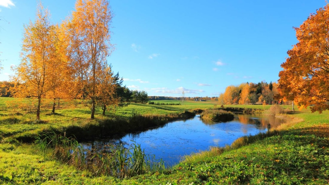 900 hectares de nature sauvage à 50 km de Bordeaux : l'Étang de Cousseau dévoilé