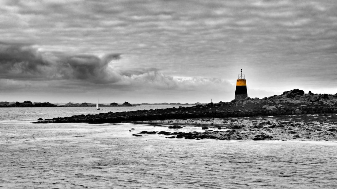 5000 tonnes de poissons et crustacés transitent chaque année par la criée de Roscoff