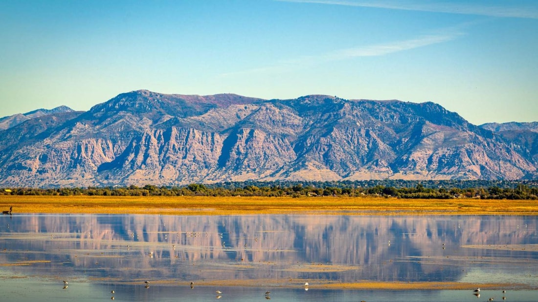 Ce lac jurassien de 56,5 hectares abrite des vestiges vieux de 5000 ans