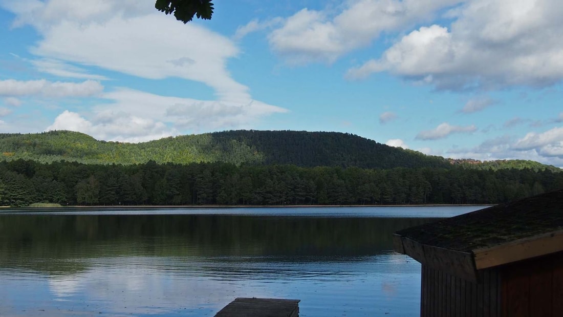 18 hectares de paradis automnal : l'Étang de Hanau, joyau des Vosges du Nord à 1h30 de Strasbourg