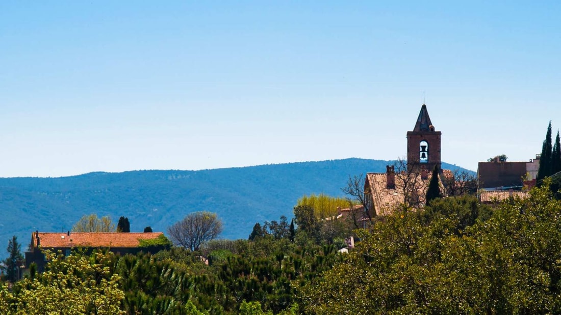 Ce village breton de 1 600 habitants cache une forêt millénaire de 555 hectares