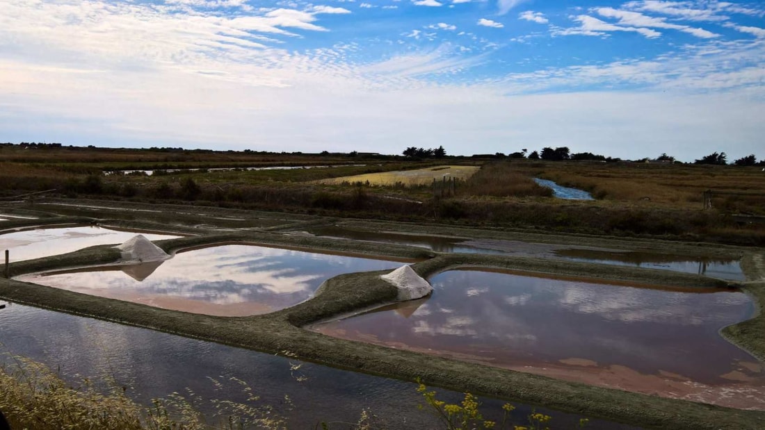 250 g de sel par litre : l'hiver magique des marais de Noirmoutier