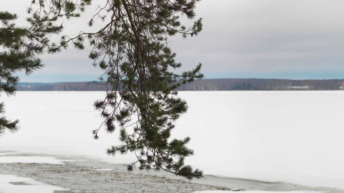 -10°C : quand la rivière Tarn se transforme en royaume de glace sur 53 km