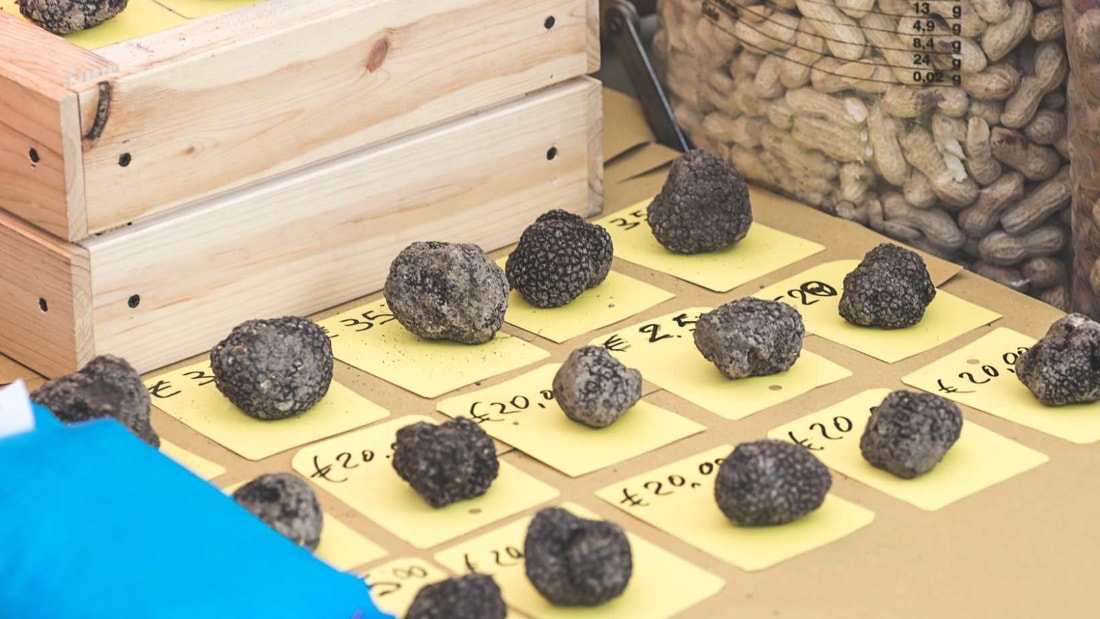 Marché aux truffes en provence : 2 mois pour déguster l'or noir à 1000€ le kilo