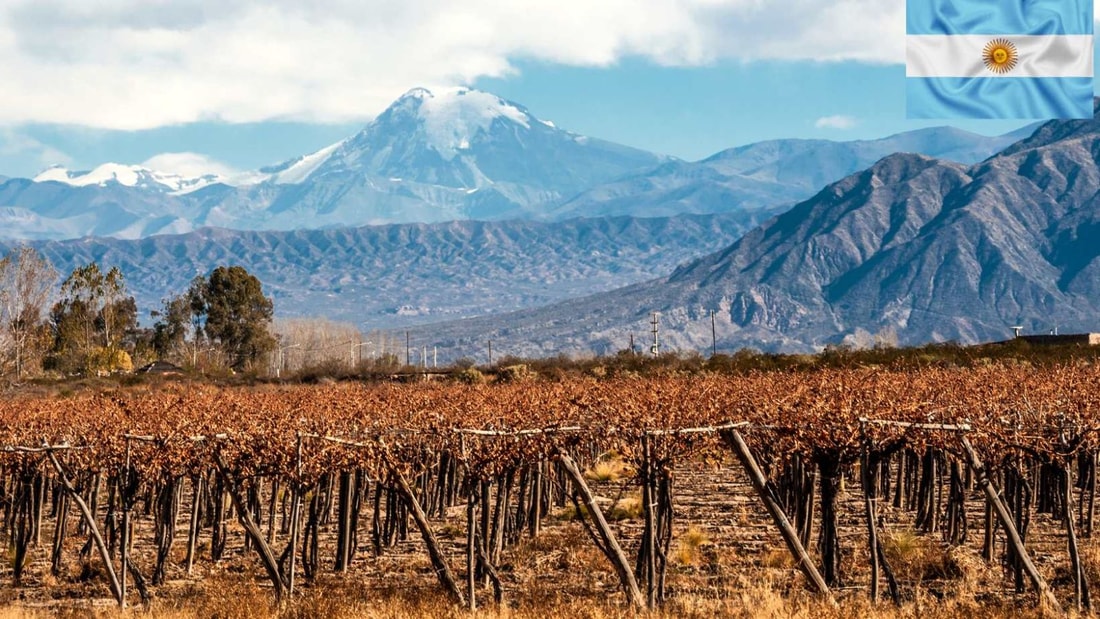 La nouvelle Route des Vins argentine : Cafayate, perle viticole à 1683 mètres