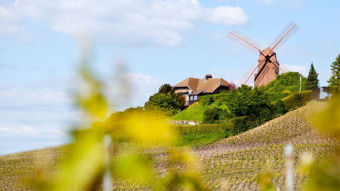 5 villages classés Grand Cru à visiter en Champagne cet hiver