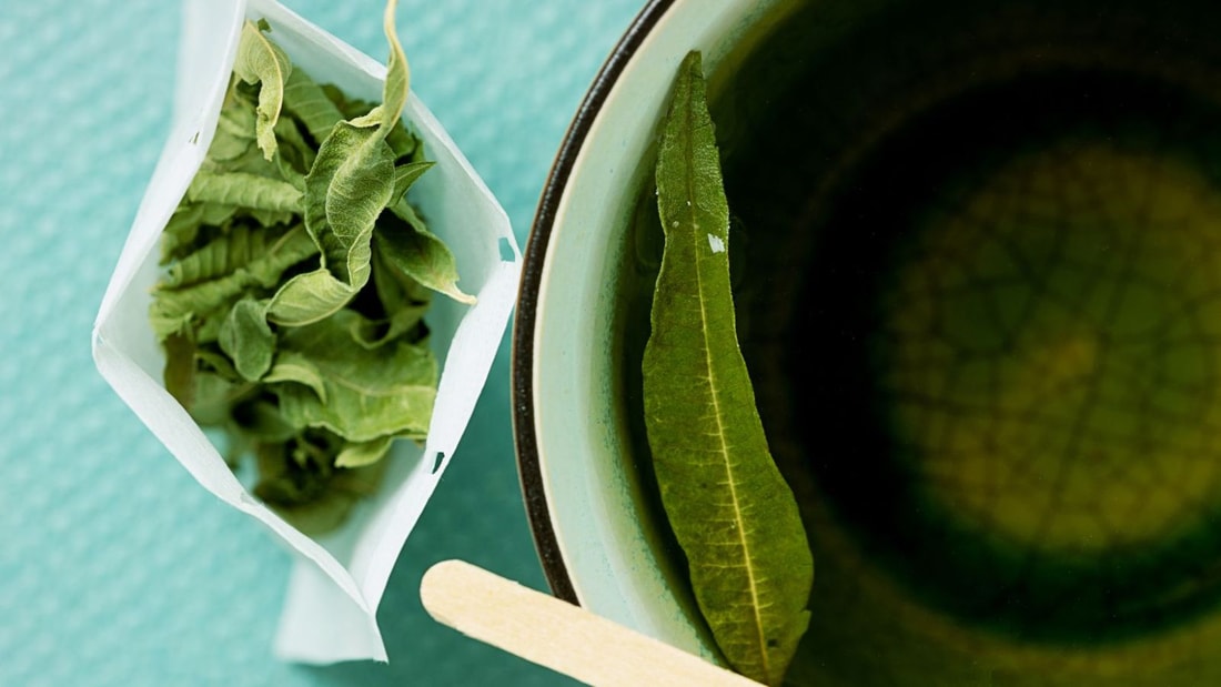 Tisane de verveine : 78% de stress en moins en 4 semaines selon l'INSERM