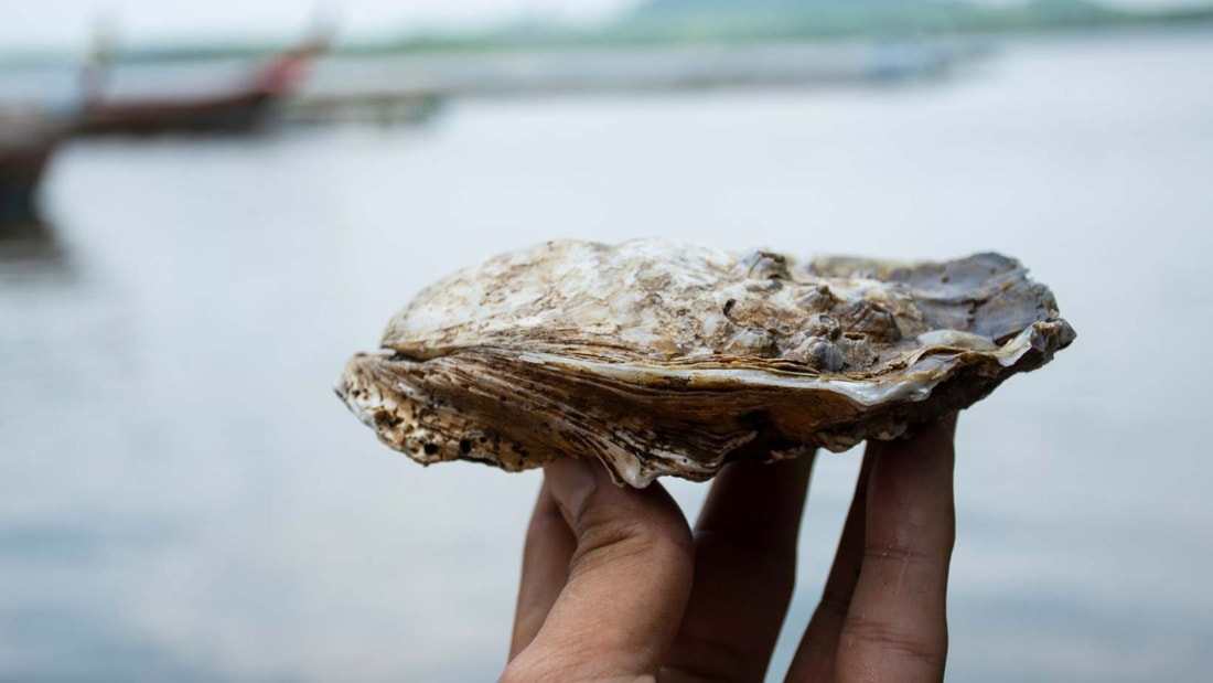 Ce village normand cache le plus petit fleuve de France et des huîtres d'exception