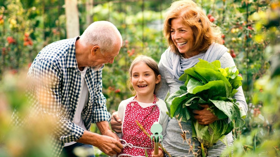 Arrosage, taille, récolte : 10 conseils d'un maraicher pour un potager au top en juillet