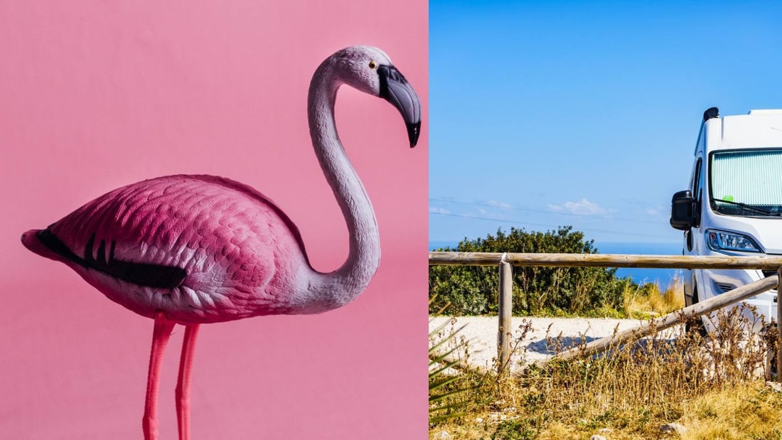 Flamants roses, chevaux, plages... Vivez la Camargue autrement en camping-car !