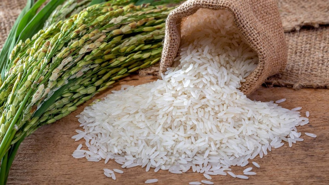 Riz blanc : 39% plus de nutriments assimilés que le riz complet, l'étude choc