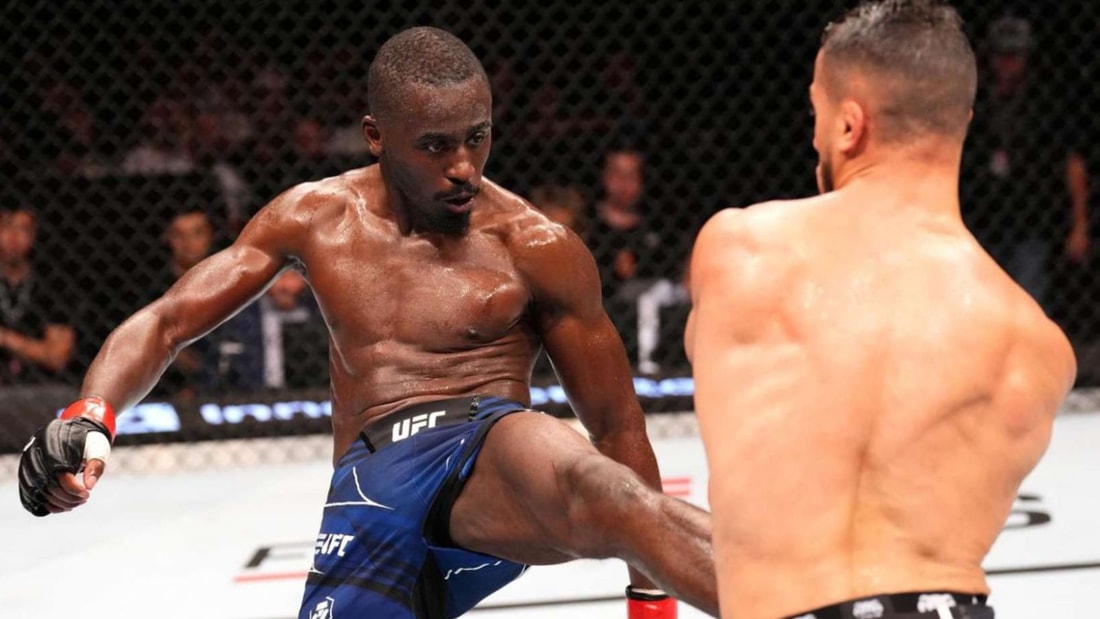 Pronostic UFC Paris 3 - William Gomis (FRA) vs Joanderson Brito (BRE) - 28/09/2024 à 22h30