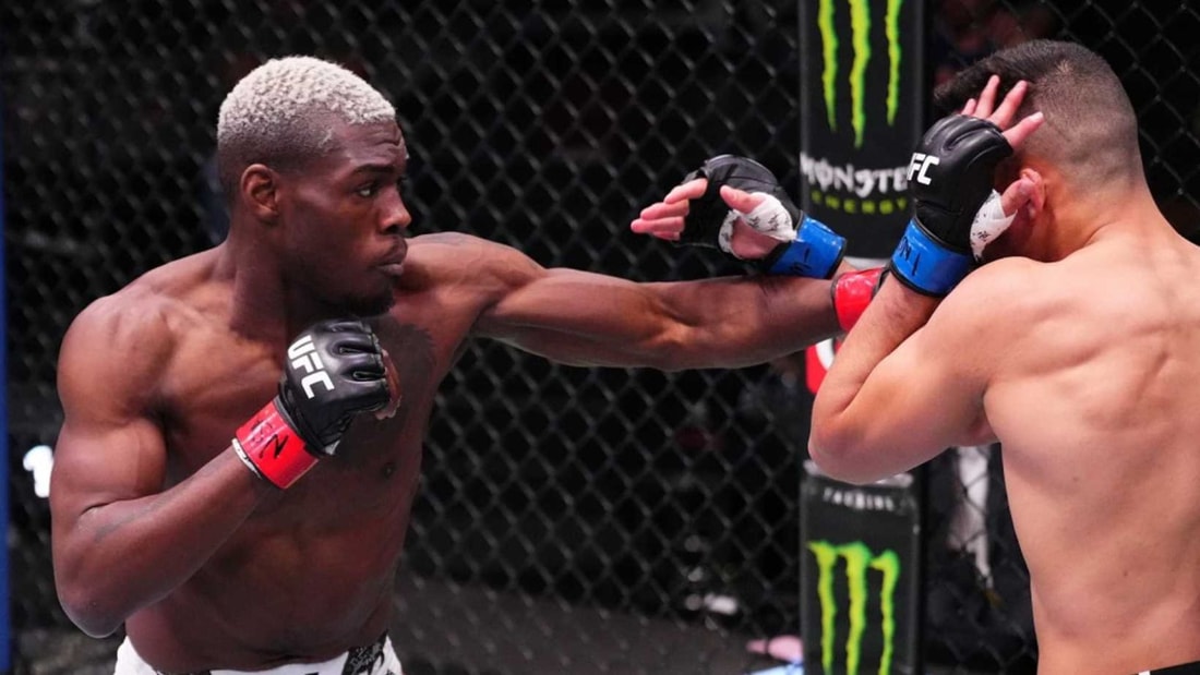 Pronostic UFC Paris 3 - Bolaji Oki (BEL) vs Chris Duncan (ECO) - 28/09/2024 à 18h00