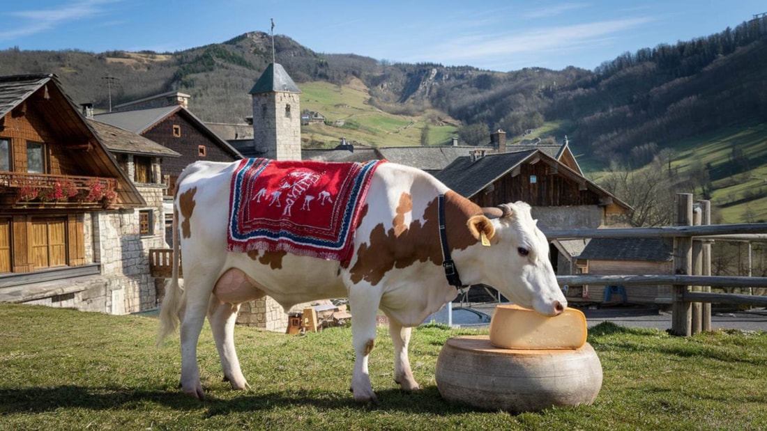 Ce village de 100 habitants niché à 700m d'altitude produit l'un des meilleurs fromages AOP de France