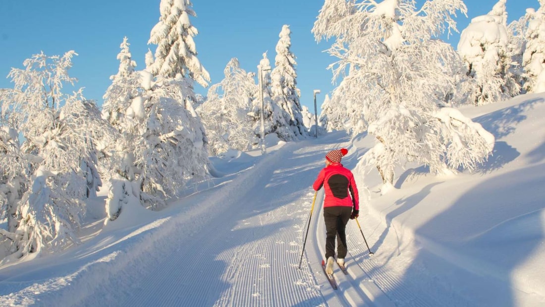 Fondre comme neige au soleil : ce sport d'hiver élimine 500 calories en 20 minutes