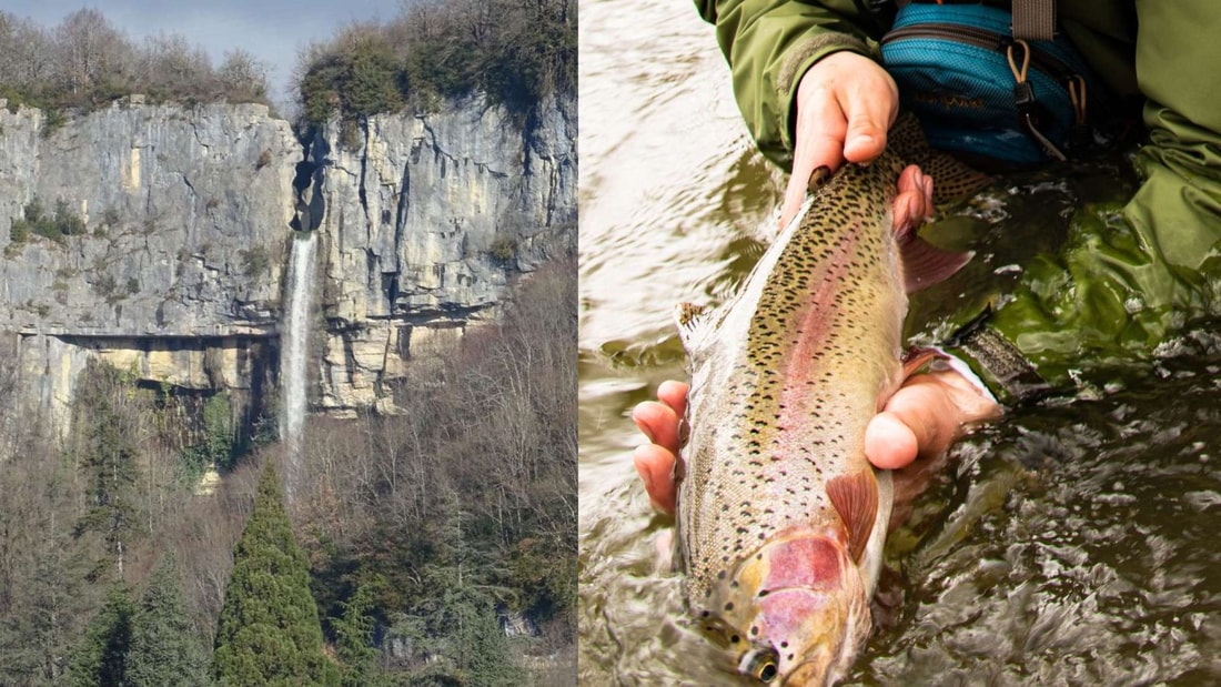 La rivière qui forme cette cascade de 70 mètres est classée 1ère catégorie pour la pêche à la truite