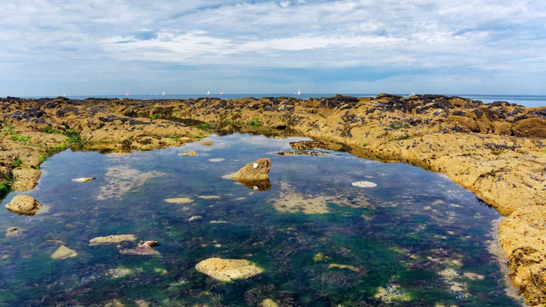 128 marches pour une vue à 360° sur 2 000 hectares de marais salants