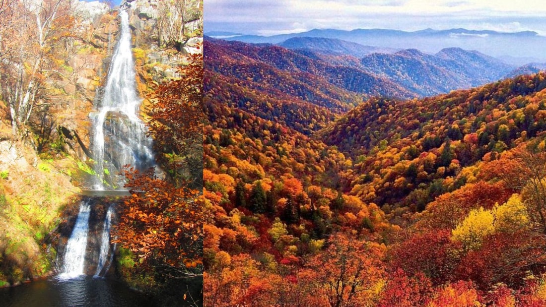 Cette cascade de 60 mètres cachée dans les Cévennes attire des milliers de visiteurs chaque automne