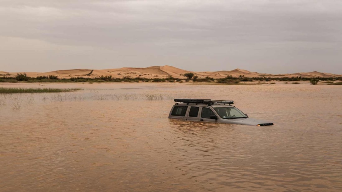 Sahara : 10 237 km² de désert sous l'eau, 127,3 mm de pluie en 24h (du jamais vu depuis 1922)