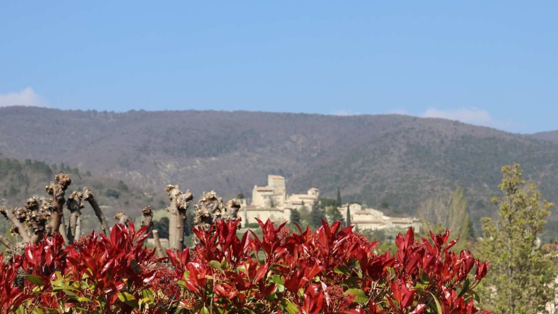 Ce village de 1000 habitants cache un château médiéval et le seul musée du protestantisme de France