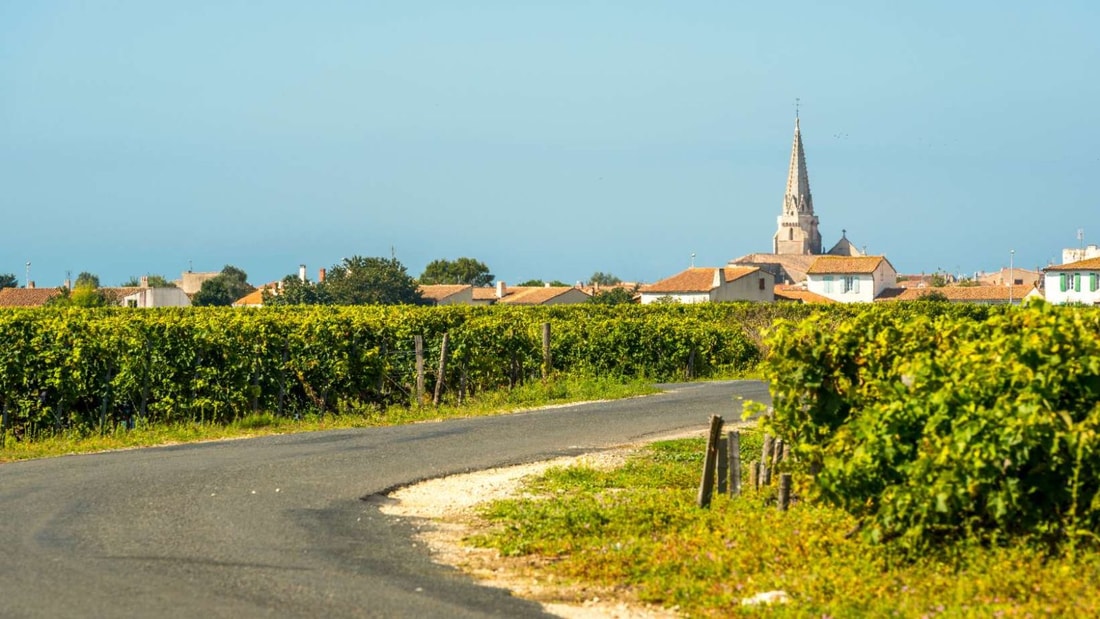 Marais, vigne et plage à perte de vue : Bienvenue à l'Ars-en-Ré