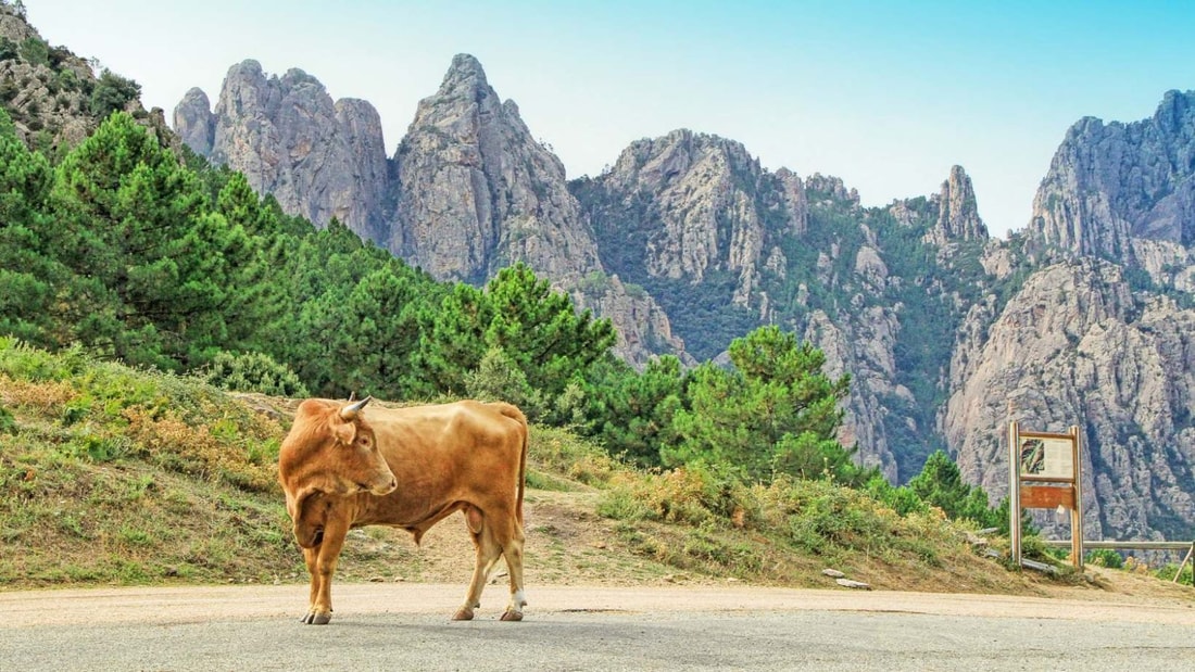 Ce sentier de randonnée corse parmi les plus durs d'Europe vaut vraiment le détour