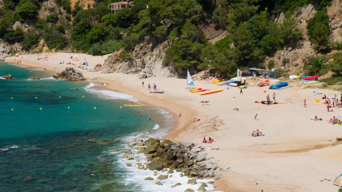 Espagne : les méduses envahissent les plages, la baignade bientôt impossible ?