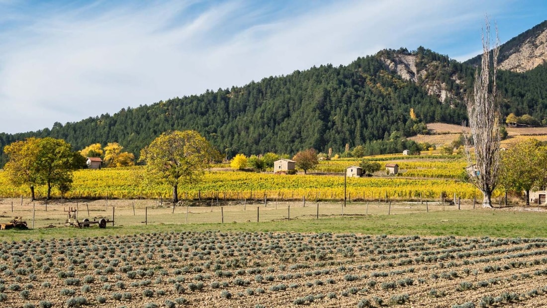 Châtillon-en-Diois : le village où la nature et l'histoire s'entremêlent