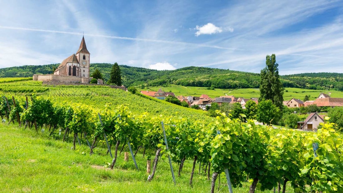 Ce village de 500 habitants cache une église-forteresse du 15e siècle au cœur des vignes