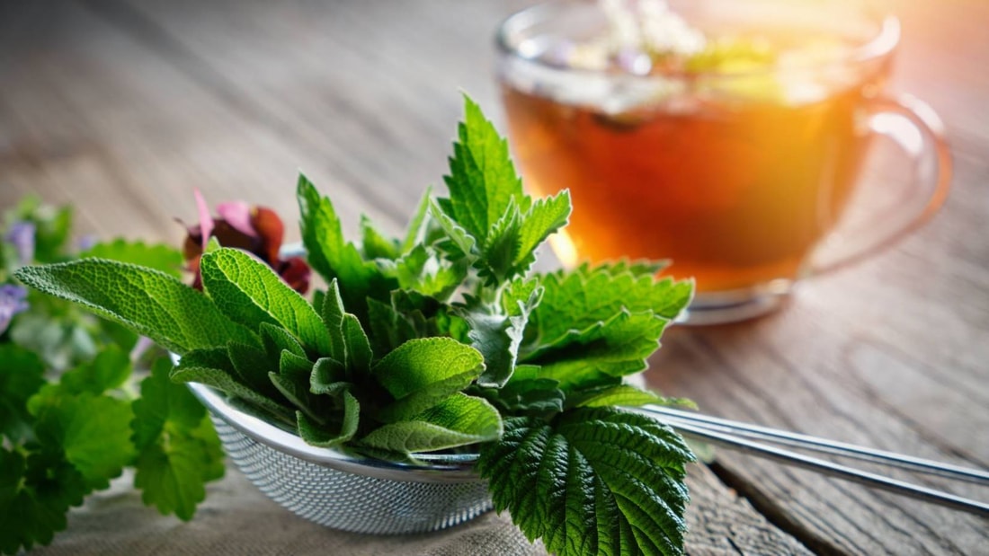 Coup de chaud ? Cette tisane réduit la température corporelle de 2,7°C en 20 minutes