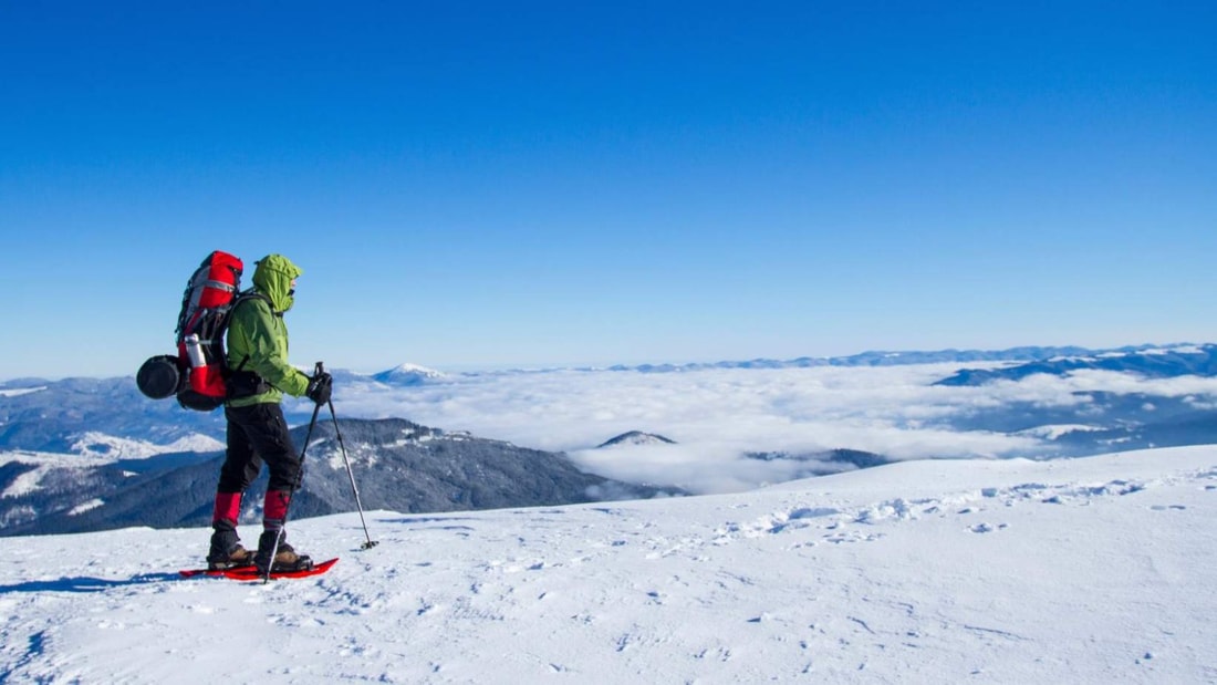 Évasion nordique : tentez la survie en pleine nature cet hiver