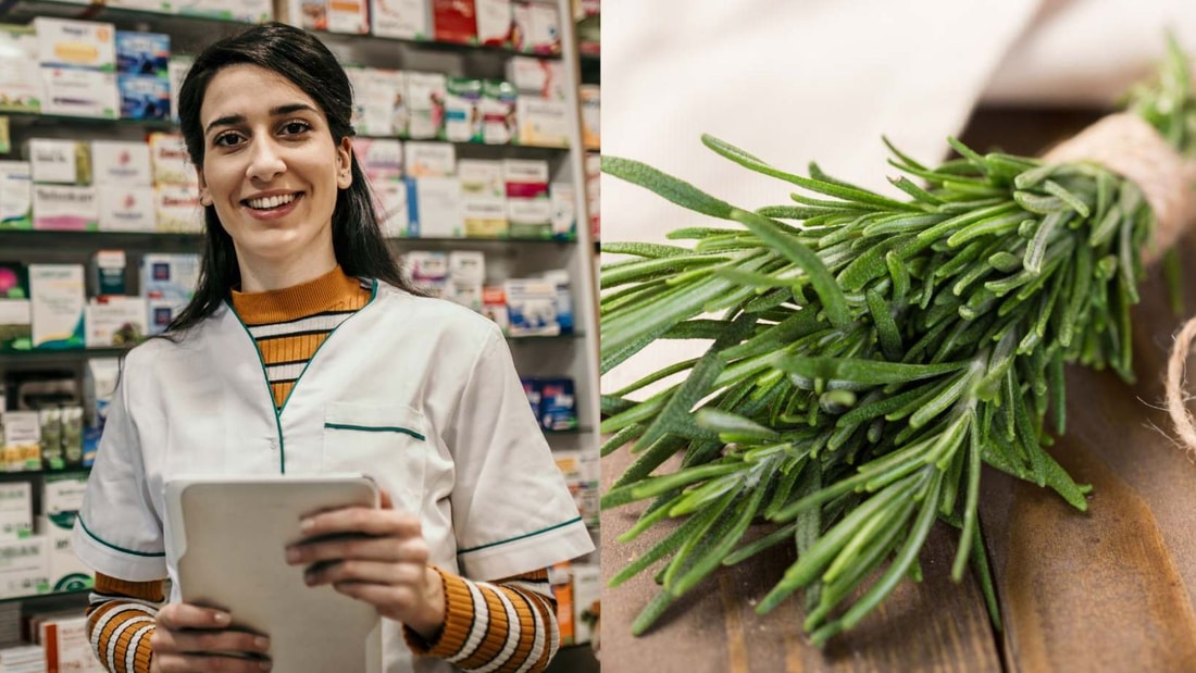 Plantes médicinales vs médicaments : des différences fondamentales à connaître