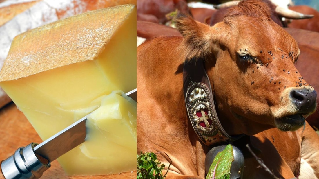 Ce village alpin cache un fromage AOP et des randonnées à couper le souffle