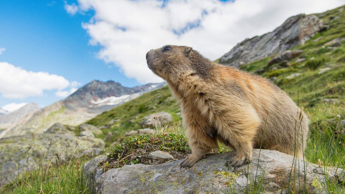 Ce parc national abrite les trésors les mieux gardés de la nature alpine !