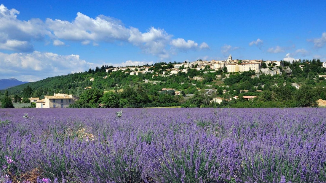 Ce village provençal est un incontournable pour les amoureux de la lavande et des marchés locaux !