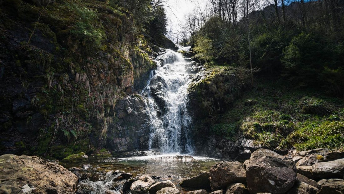 Ce parc naturel près de Toulouse est un havre de paix pour les randonneurs !