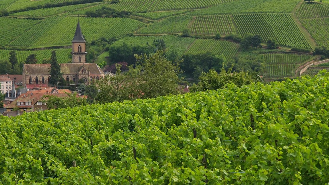 2 000 hectares de vignobles et une fête médiévale : le charme de ce village du Haut-Rhin